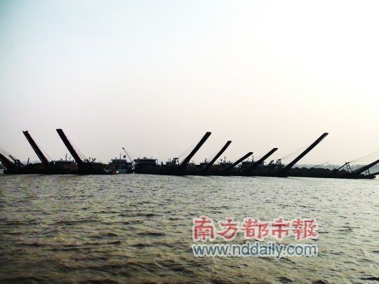 长江豚殇